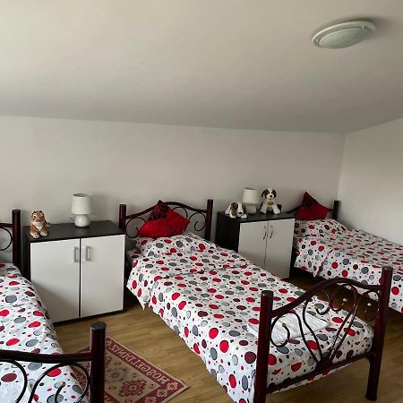Vila Ekooos Braşov Exteriör bild