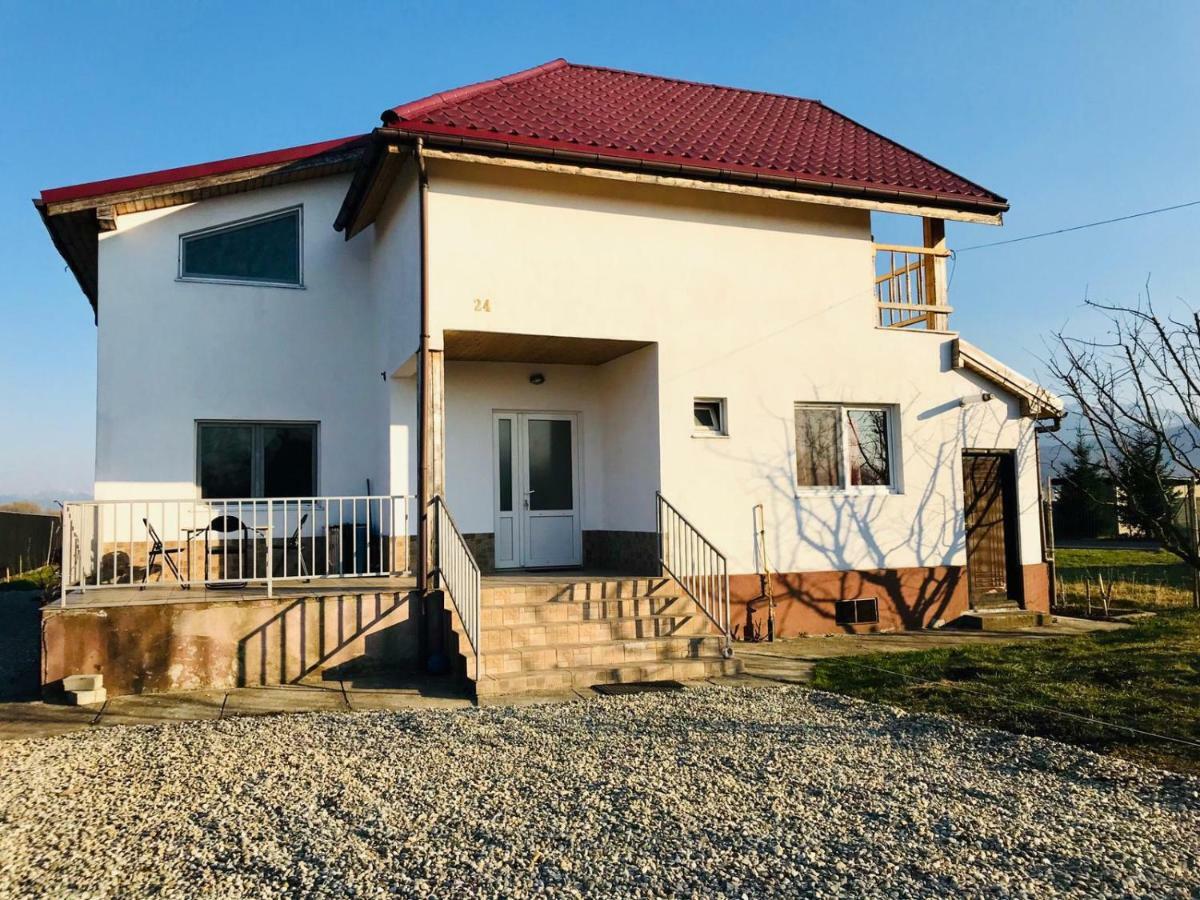 Vila Ekooos Braşov Exteriör bild