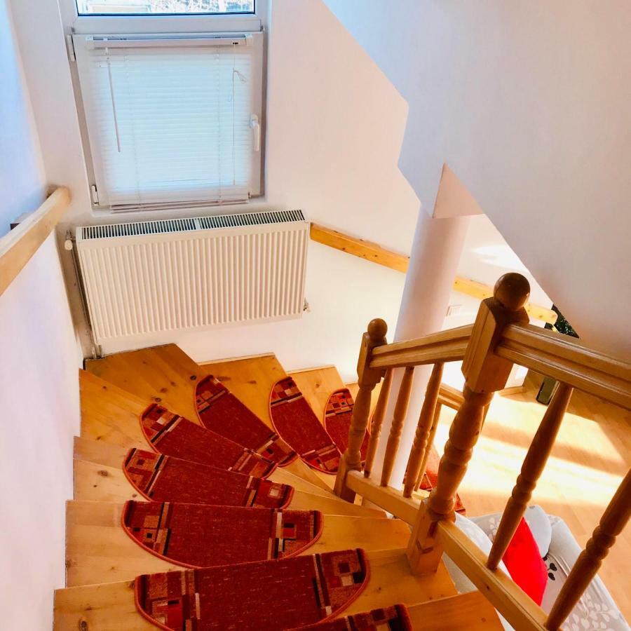 Vila Ekooos Braşov Exteriör bild