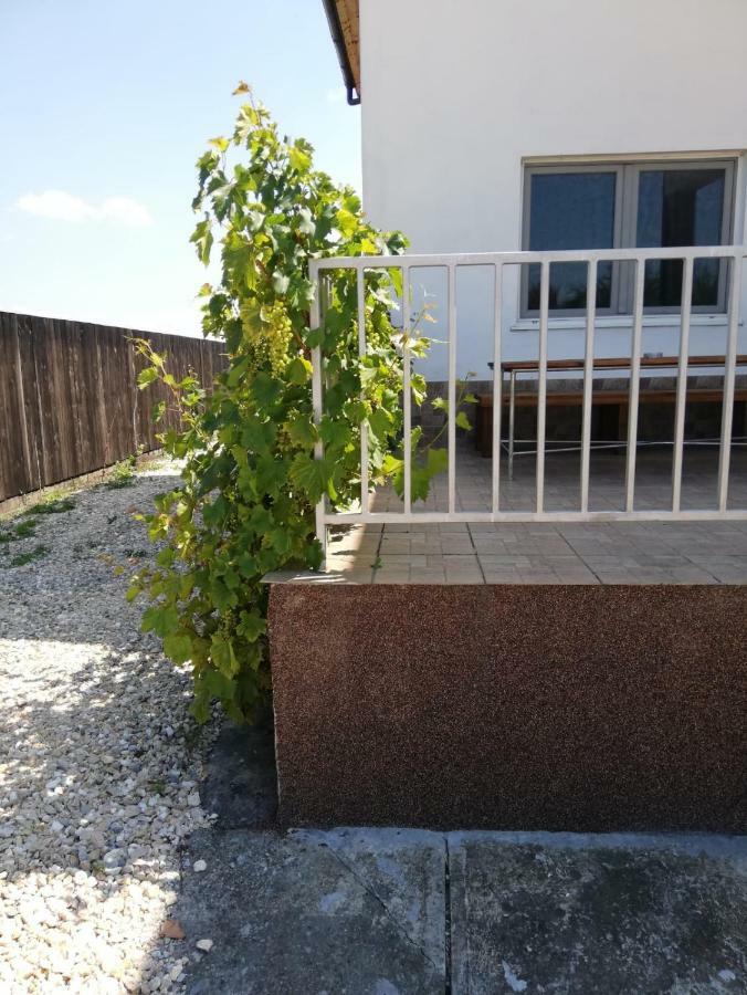 Vila Ekooos Braşov Exteriör bild