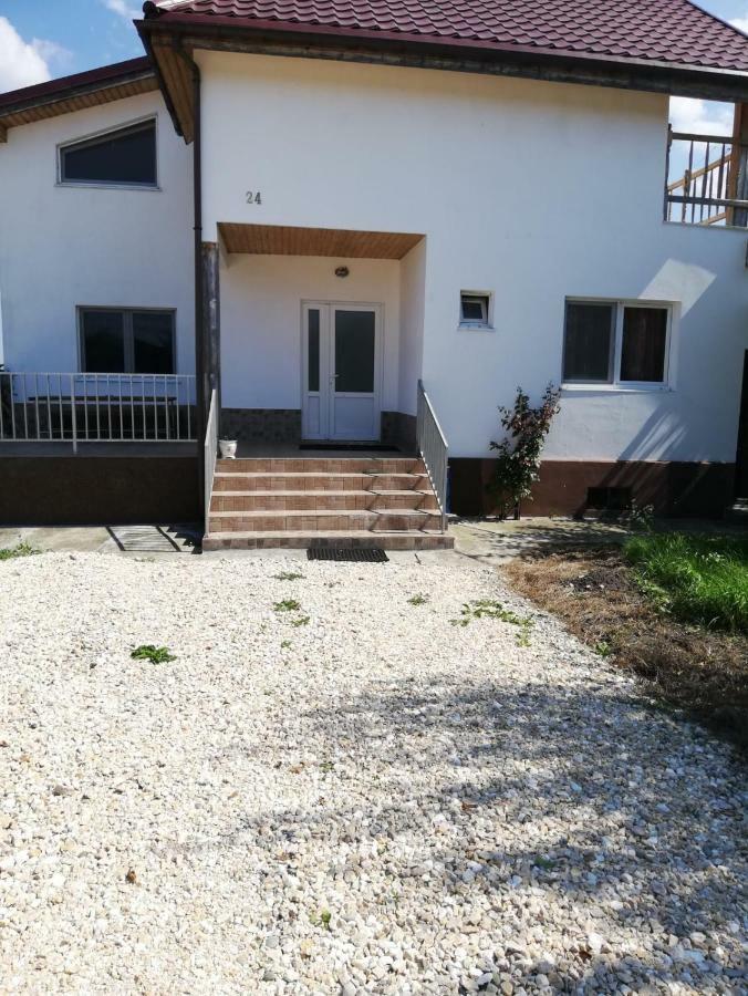 Vila Ekooos Braşov Exteriör bild