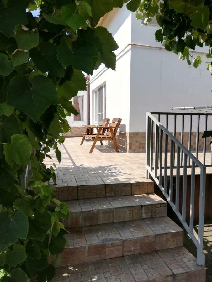 Vila Ekooos Braşov Exteriör bild